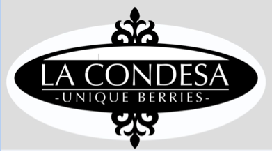 LA CONDESA BERRIES, S. L.