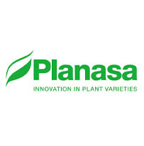 Partner3 Planasa