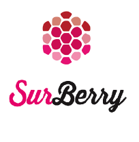 Partner Surberry