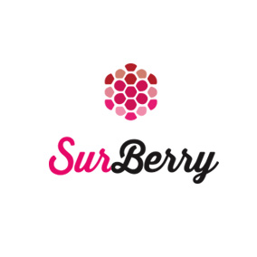 Partner Surberry