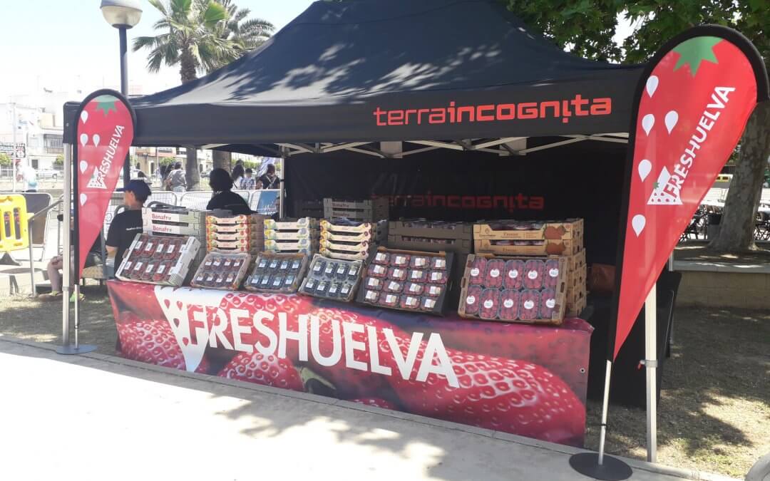 Los berries de Freshuelva ayudan a la recuperación de los participantes de la Huelva Extrema