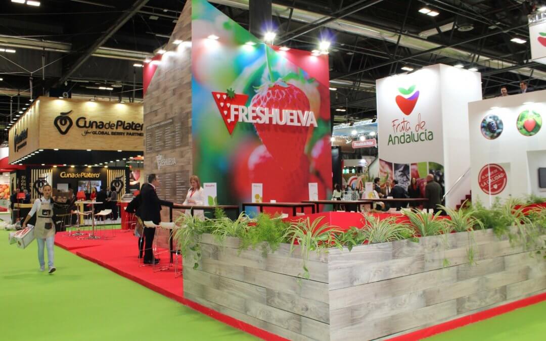 Freshuelva promocionará los berries onubenses con la fresa como producto estrella de Fruit Attraction