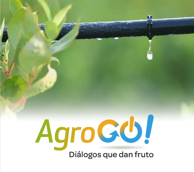 Jornada AgroGO de Agrobank y Freshuelva el próximo 15 de junio en la Casa Colón