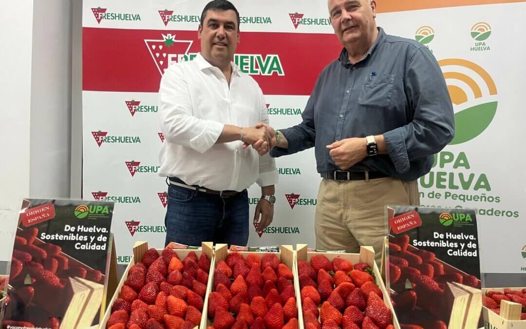 Freshuelva respalda la campaña ‘Yo como fresas de Huelva’ aportando fruta de sus empresas asociadas para los repartos por España y Europa
