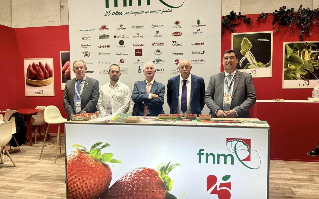 Fresas Nuevos Materiales cumple 25 años