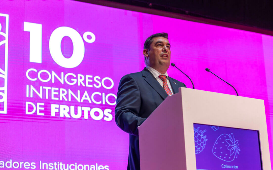 Francisco José Gómez, reelegido como presidente de Freshuelva para los próximos tres años