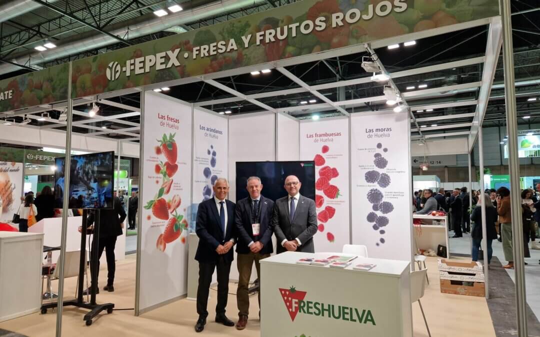 Balance muy positivo de la participación de Freshuelva en la primera edición de EXPO SAGRIS 2025