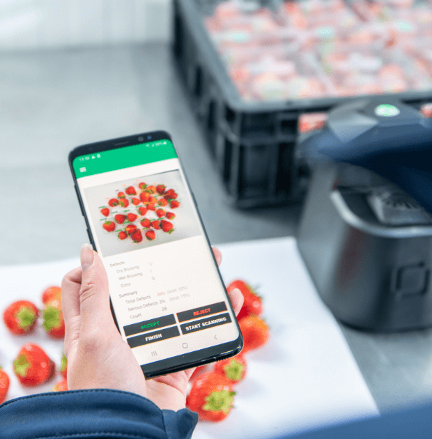 OneThird presenta su sistema de control de calidad digital para fresas con tecnología no destructiva y resultados en tiempo real