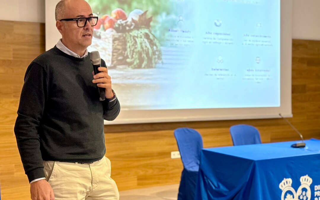 WhatsApp Image 2025-11-28 at 12.23.26