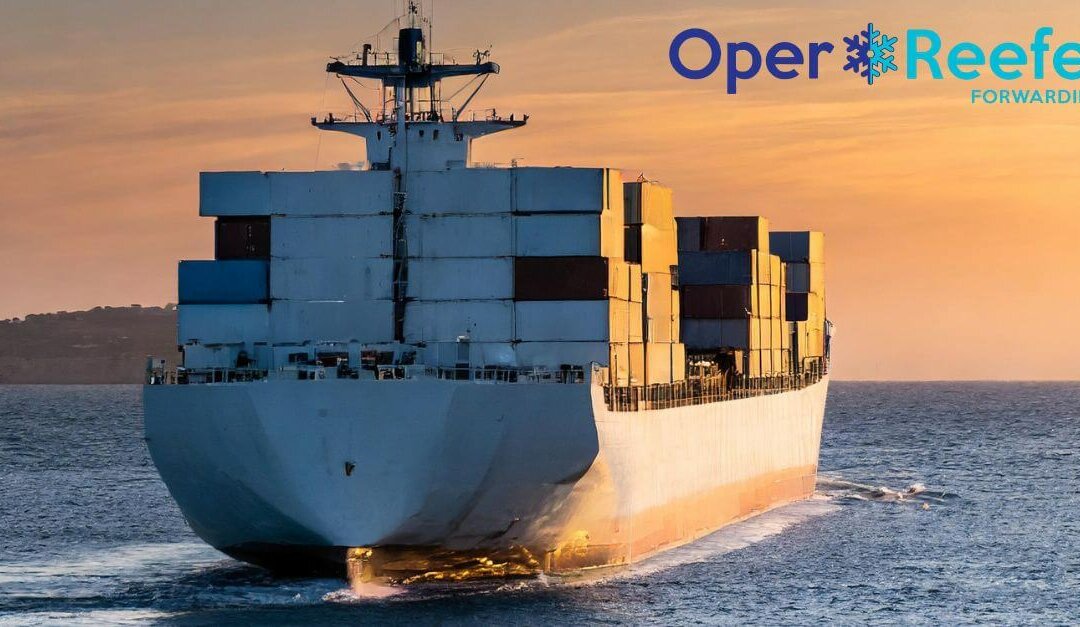 oper reefer barco
