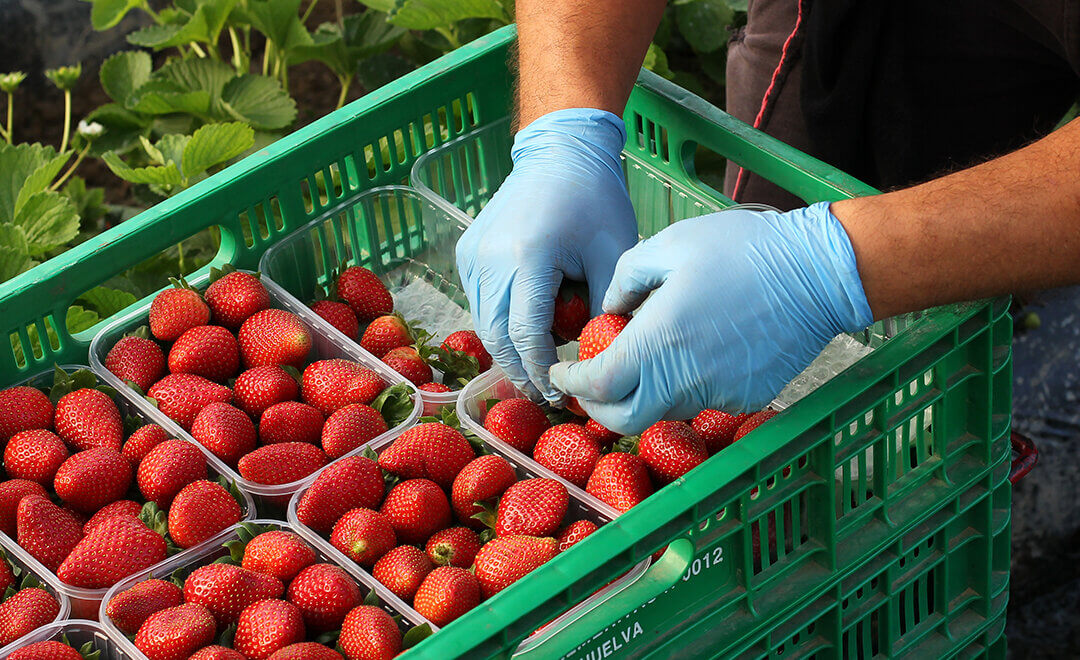 Maripí se suma a la nómina de proveedores de Mercadona