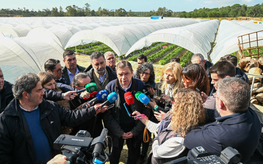 Moguer_Huelva_invernaderos-9