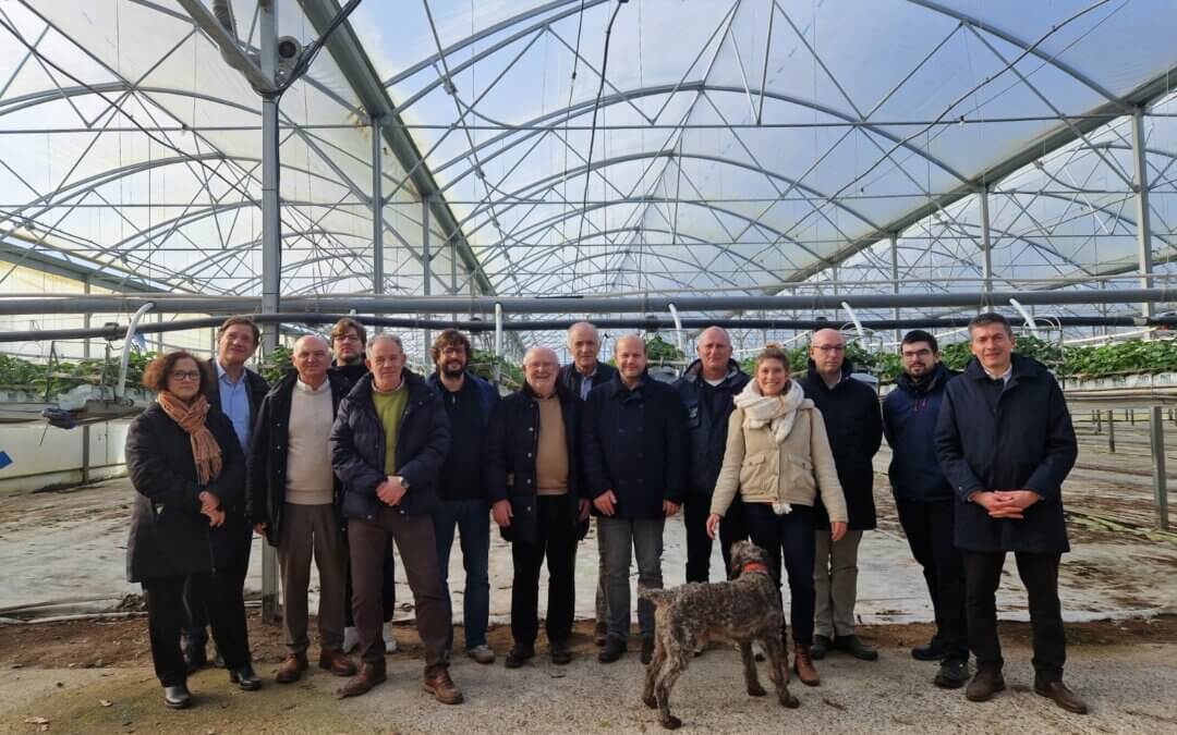 El grupo de contacto de la fresa analiza en Francia la campaña 2025 y los retos fitosanitarios del sector