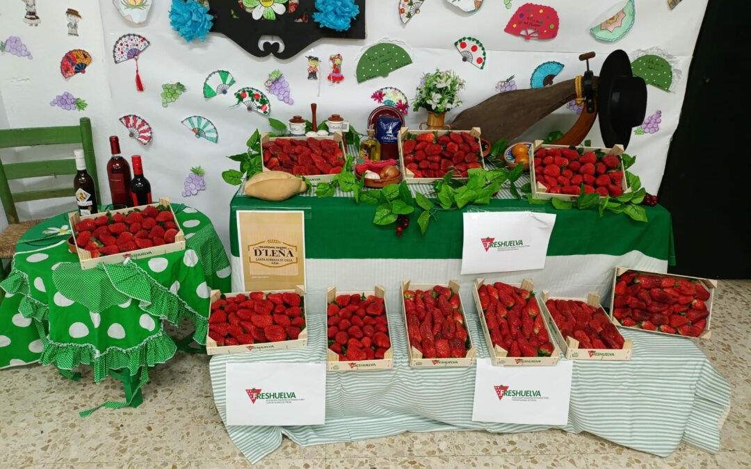 WhatsApp Image 2026-02-26 at 13.36.59 (1)