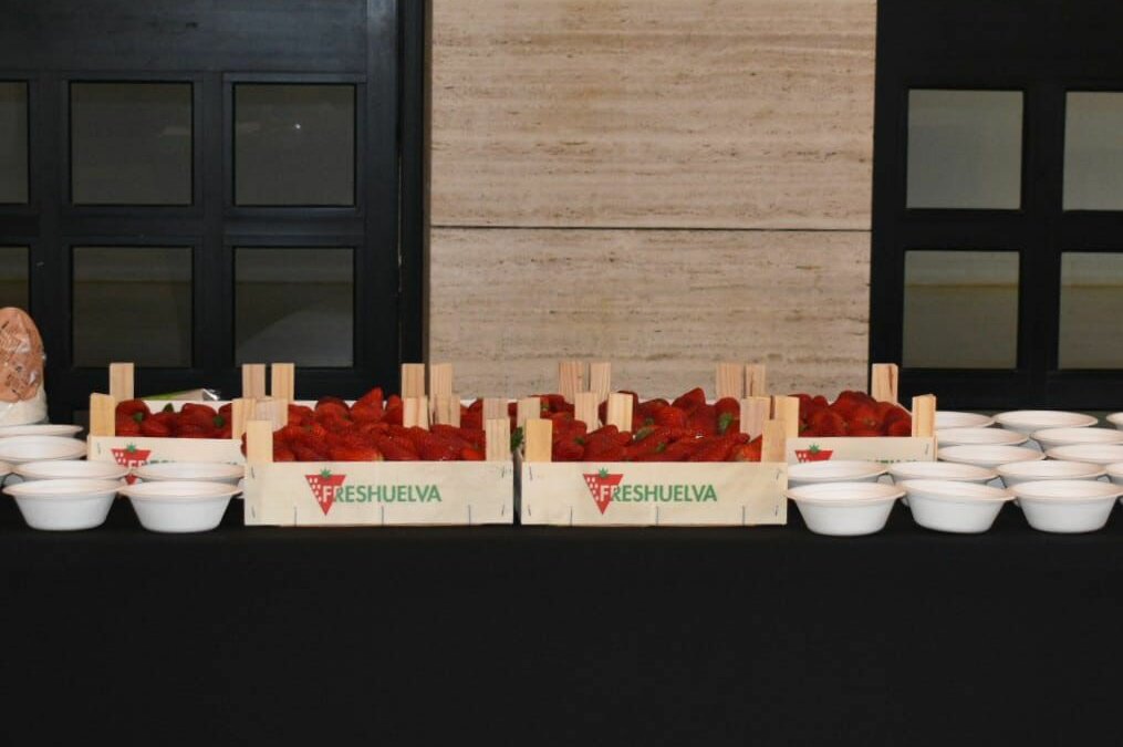 WhatsApp Image 2026-02-27 at 08.45.22 (1)