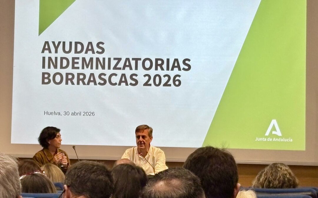 JORNADA TECNICA AYUDAS_02