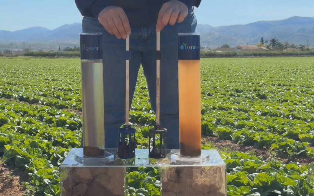 SNF Water Science pone el foco en la mejora de la estructura del suelo con Flobond DI2010