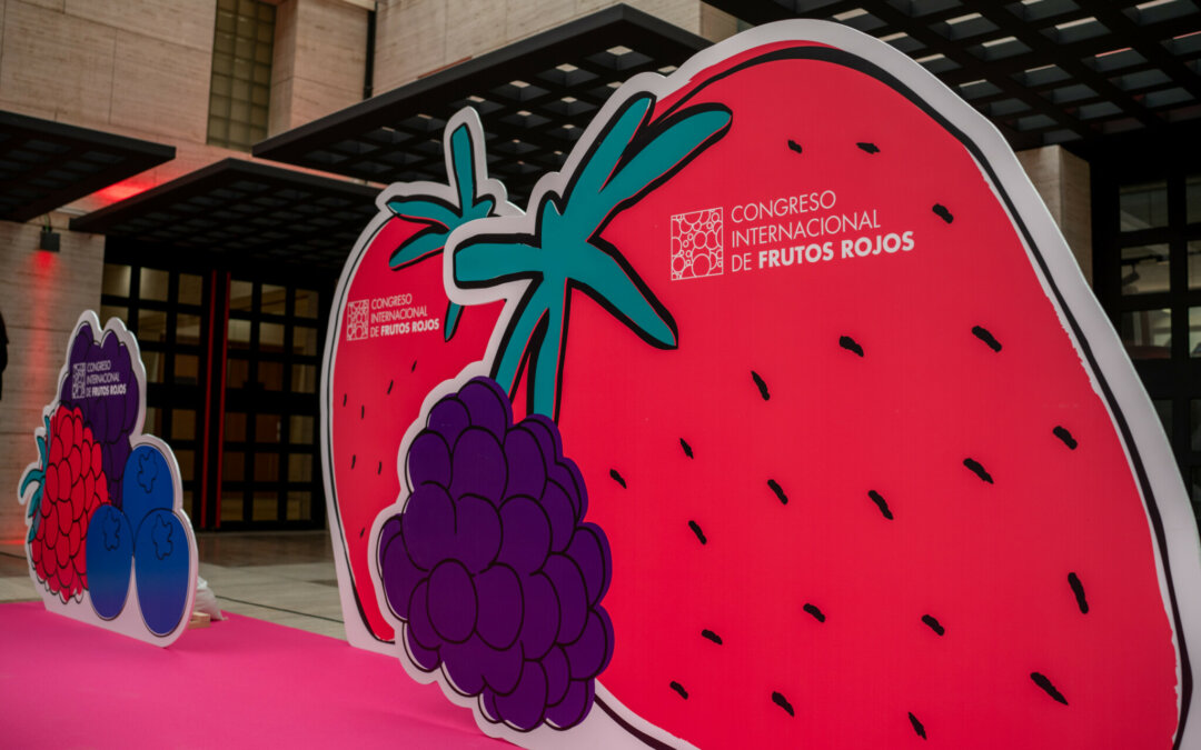 PRES.CONGRES.FRUTOS_ROJOS-03